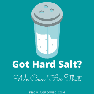 Got Hard Salt