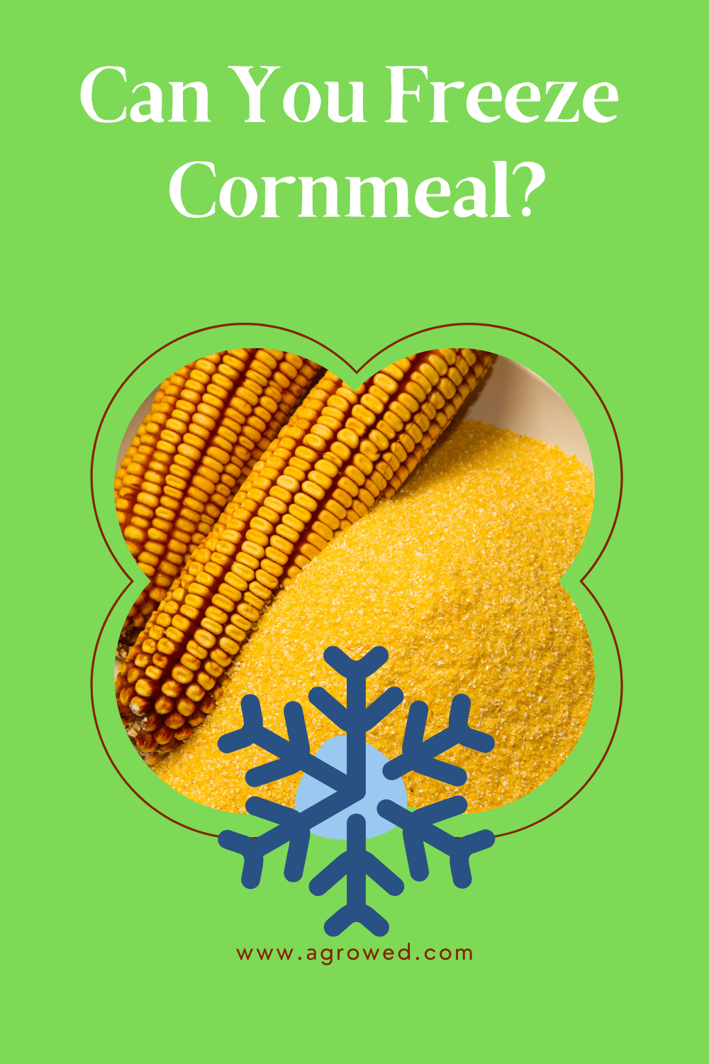 Can You Freeze Cornmeal