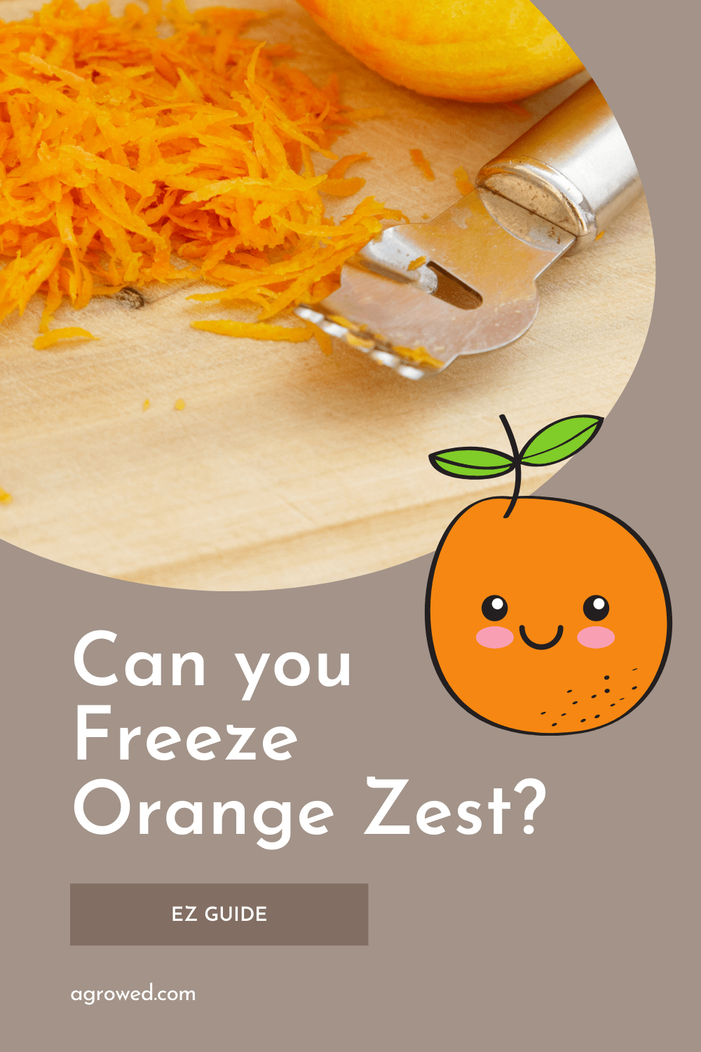 Can you freeze orange zest