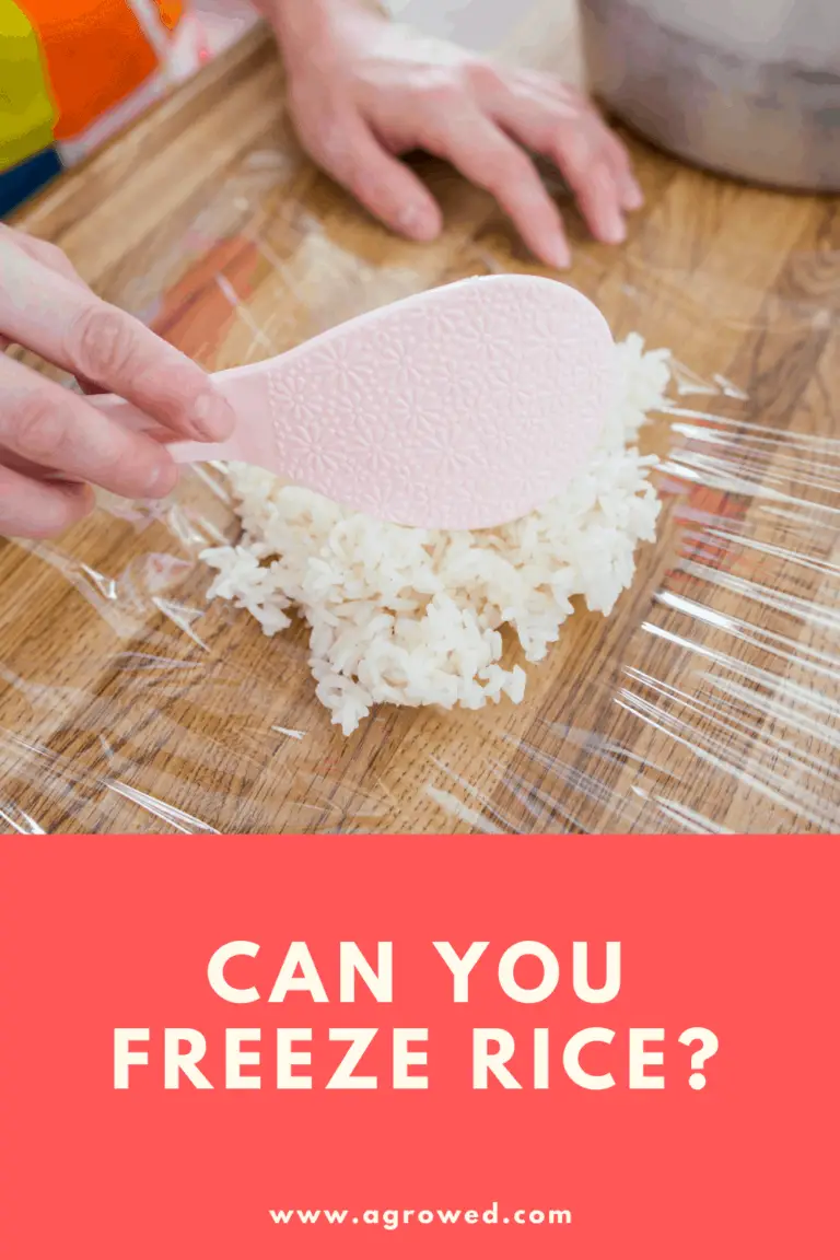 Can Rice Be Frozen? - Agrowed