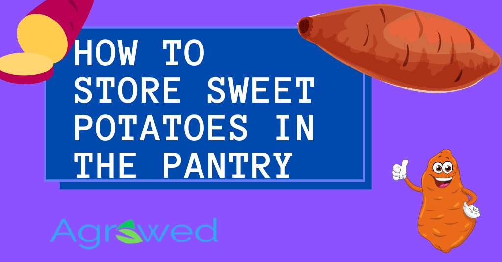How to store sweet potatoes