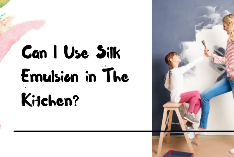 Can-I-Use-Silk-Emulsion-in-The-Kitchen